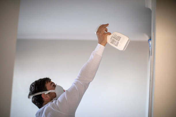 Best DIY Mold Remediation Support Services in Arapahoe, WY