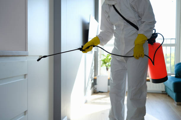 Best Mold Remediation for Schools in Arapahoe, WY