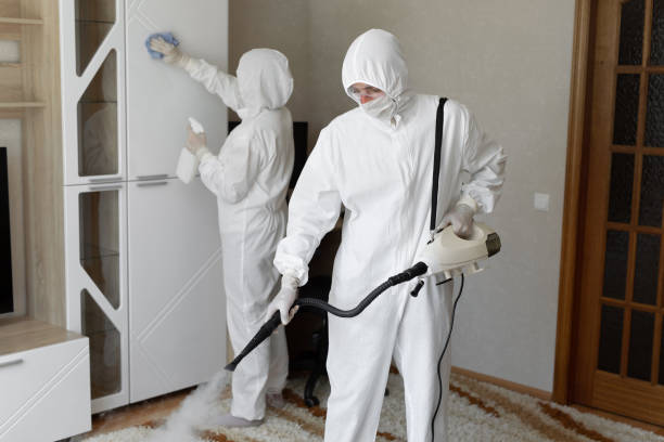 Best Residential Mold Remediation in Arapahoe, WY
