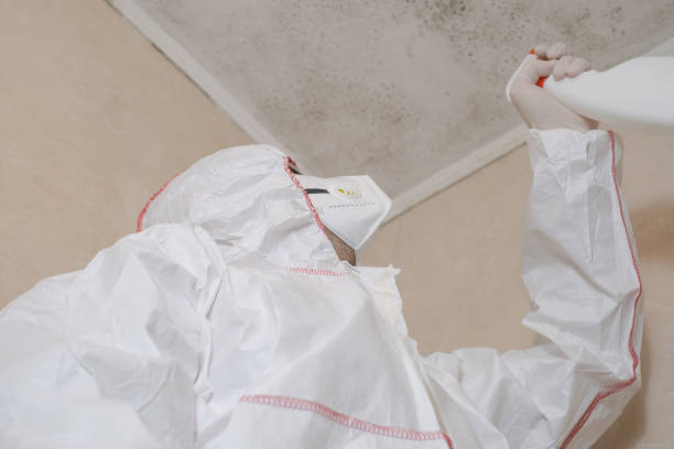 Best Mold Remediation for Schools in Arapahoe, WY