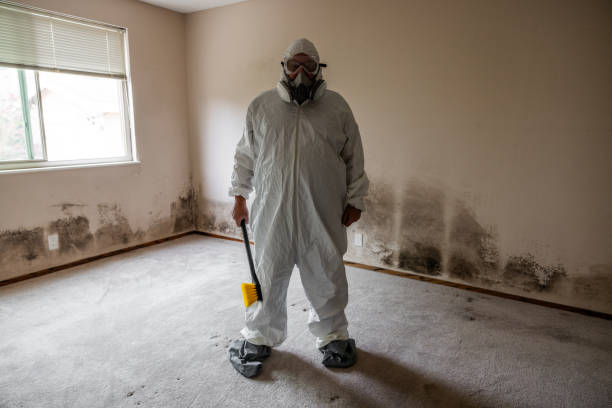 Best Health and Safety Mold Remediation in Arapahoe, WY